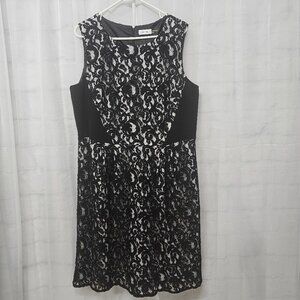 Calvin Klein Dress Black Lace Whimsigoth Fairy Sleeveless 18W